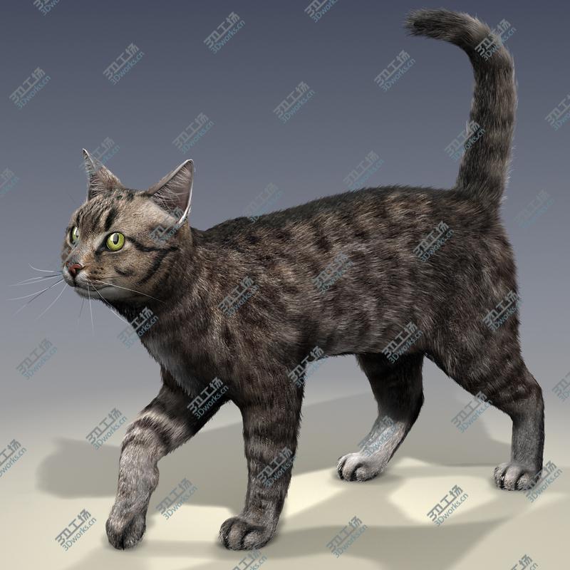 images/goods_img/2021040161/Cat - Rigged, With Fur/4.jpg